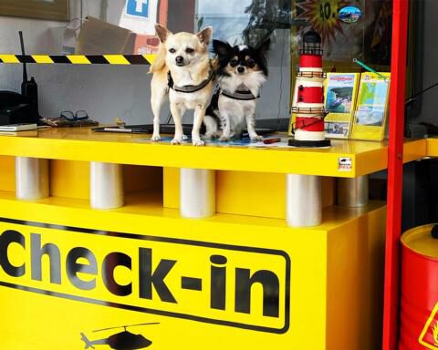 Zwei kleine Hunde stehen auf gelbem Check-in-Schalter mit Helikopter-Symbol, daneben Leuchtturm-Dekoration und Flyer.