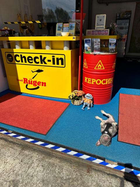 Ein kleiner Hund liegt entspannt auf einem blauen Teppich vor einem gelben „Check-in“-Schalter mit der Aufschrift „Insel Rügen“. Daneben stehen eine rote Tonne mit der Aufschrift „Kerosin“, zwei kleine Puppen in Pilotenuniform und ein Blumenkorb.
